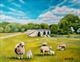 Sheep with lambs at Kedleston Hall Stone Bridge