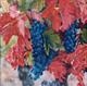 Grenache Vine